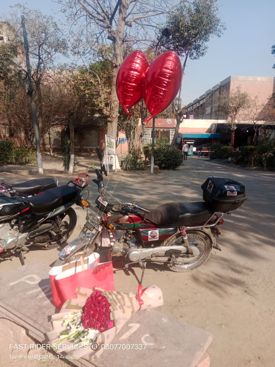 WhatsApp Image 2026-02-18 at 2.37.07 PM