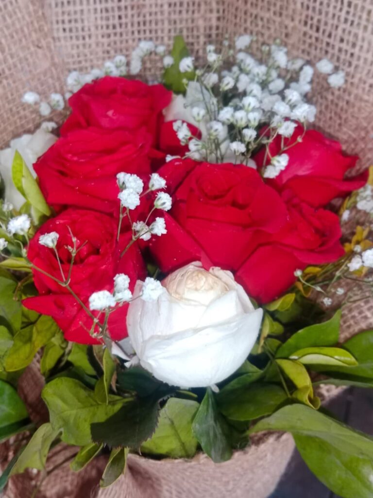 WhatsApp Image 2026-02-18 at 2.37.11 PM (2)